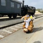 Ostereierexpress 2024