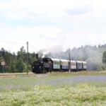 Traktor, Dampf und Musik