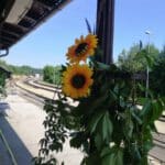 Sonderfahrt Juli 2021