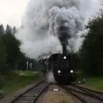 Zeitreise 2022