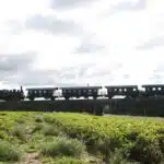 Sonderfahrt September 2022