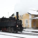 Nikolozüge 2022