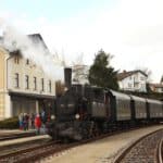 Osterzug nach Waldhausen 2015