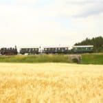 Charterfahrt Juni 17