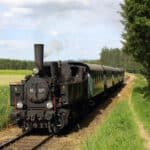 Fahrten zum Braustadtfest
