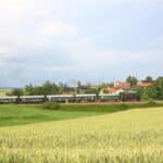 Fahrten zum Braustadtfest