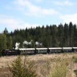 Ostereierexpress 2025